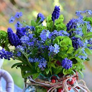 Ein kliner blauer Blumenstrauß neben dem ein Stoffhase sitzt.